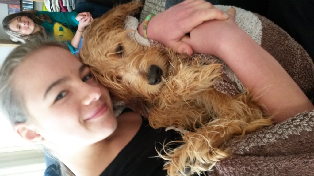 05_20141222_122106(0)